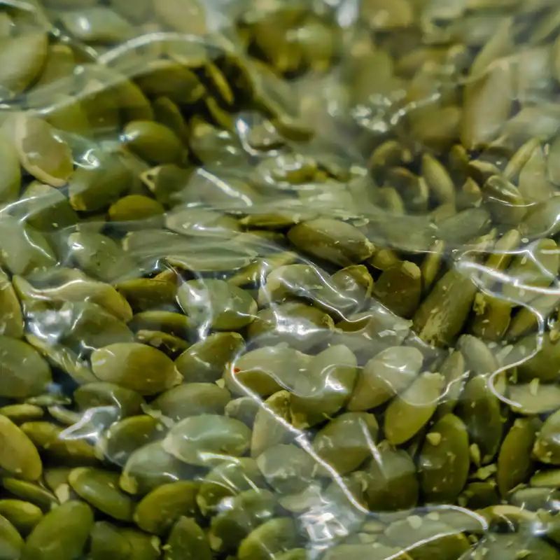Pumpkin Seed