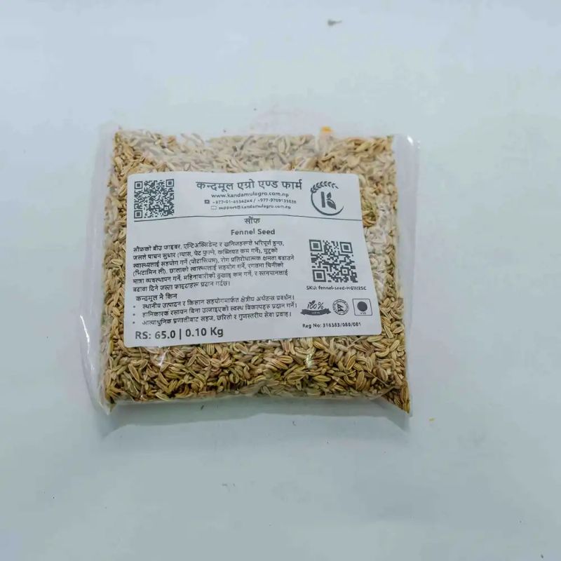Fennel Seed(100gm)