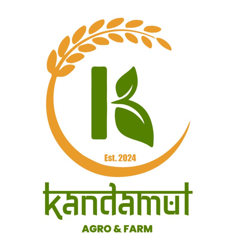 Chandani mixture dalmoth (1pcs)