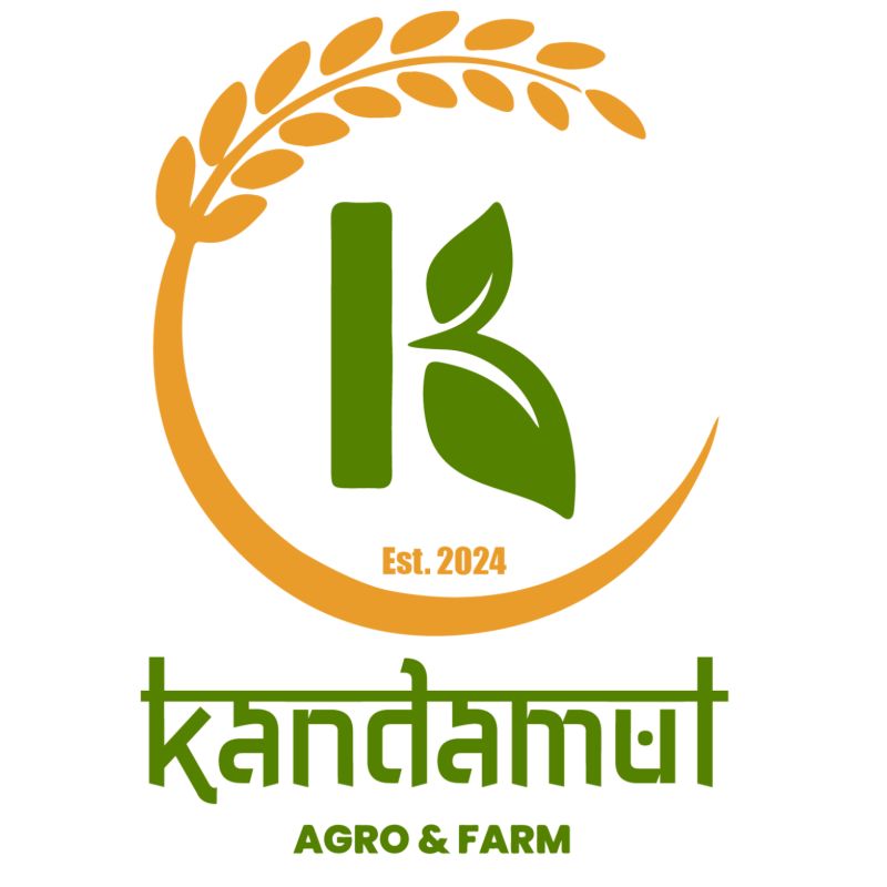 Daatey Okhar (half kg)