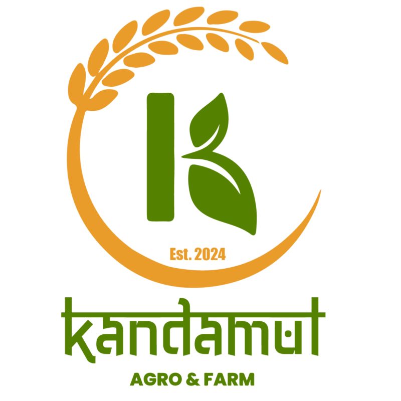 Kitkat Caramel Chocolate (1box)