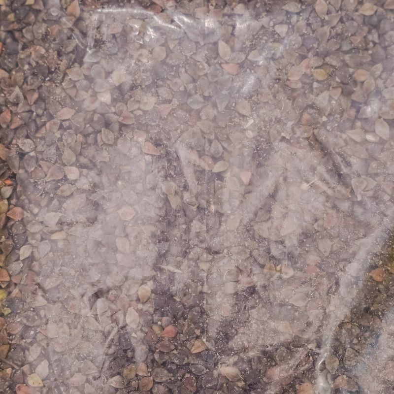 Phapar ko Dana (1Kg)