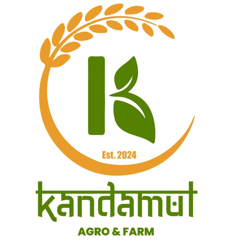 Himalayan Rock Salt (Half kg)