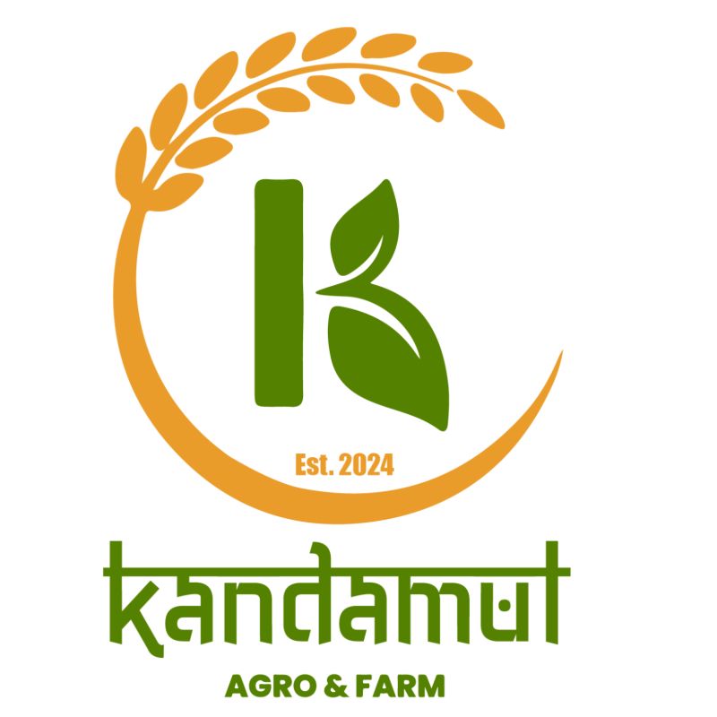 Kodali My Choice (450gm)